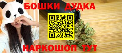 индика Будённовск