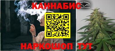 индика Будённовск