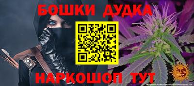 индика Будённовск