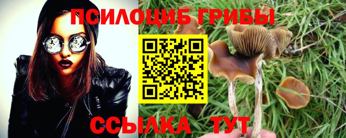 Псилоцибиновые грибы Magic Shrooms  Псилоцибиновые грибы MAGIC MUSHROOMS  Вход с VPN  Урус-Мартан 